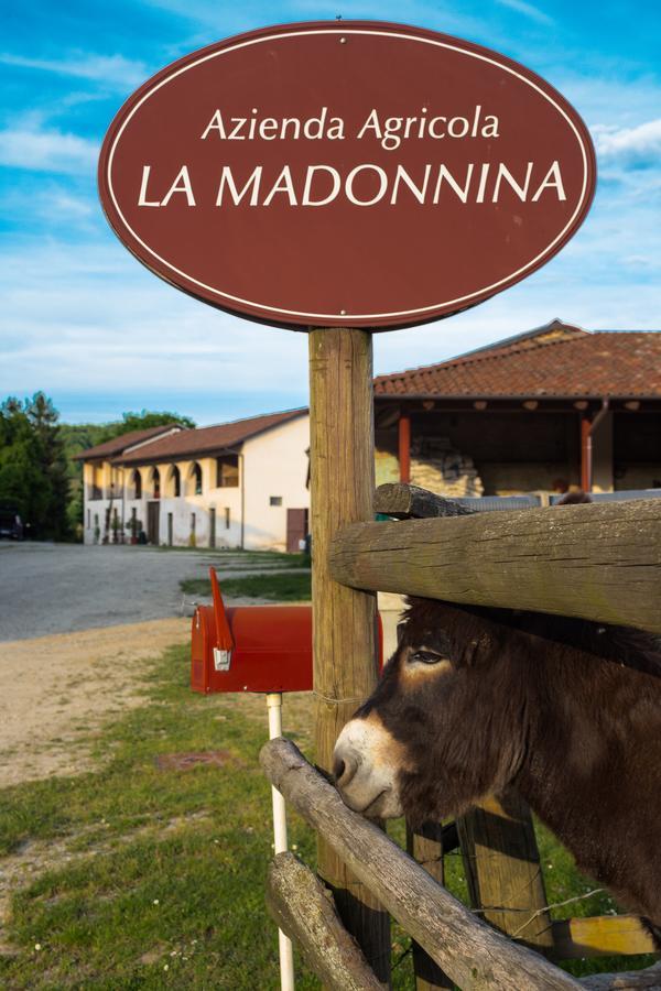 La Madonnina Agriturismo Dore Alba  Ngoại thất bức ảnh